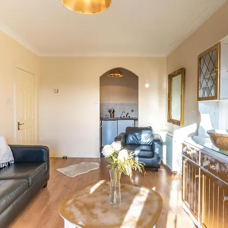 Luxurious From Apartment *